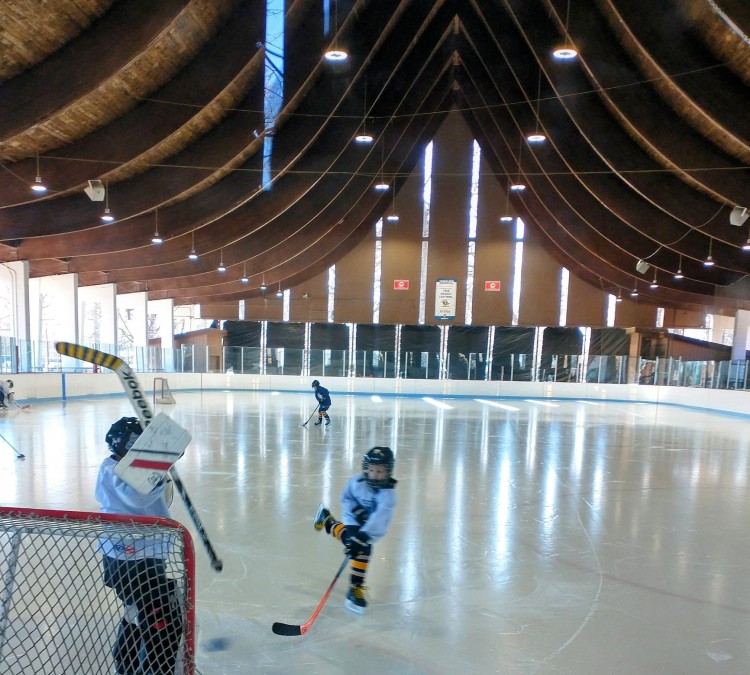 wilson-park-ice-rink-photo
